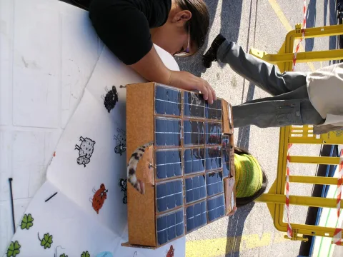 2º Grande Prémio Solar Eco-Escolas/SPES